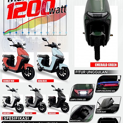 Pasipik ventura M9