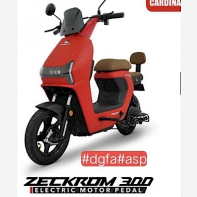 Pasipik Zekroon 300
